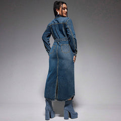 Medium wash monochrome denim dress